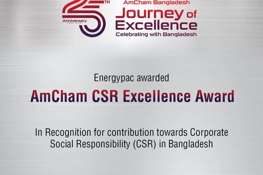 AmCham CSR excellence award